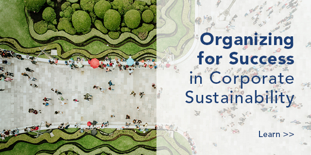 Organizing for Success in Corporate Sustainability 